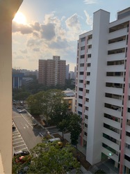 Blk 911 Tampines Street 91 (Tampines), HDB 4 Rooms #210133301